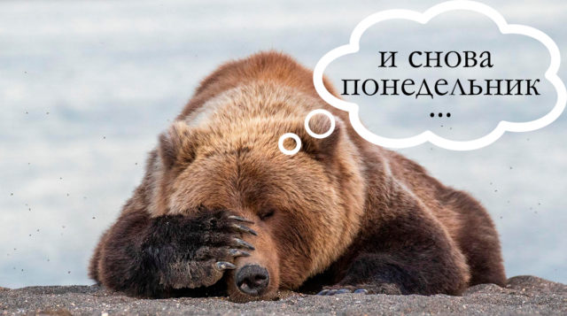 20 самых комичных фото в категории «Дикая природа» за 2019 год