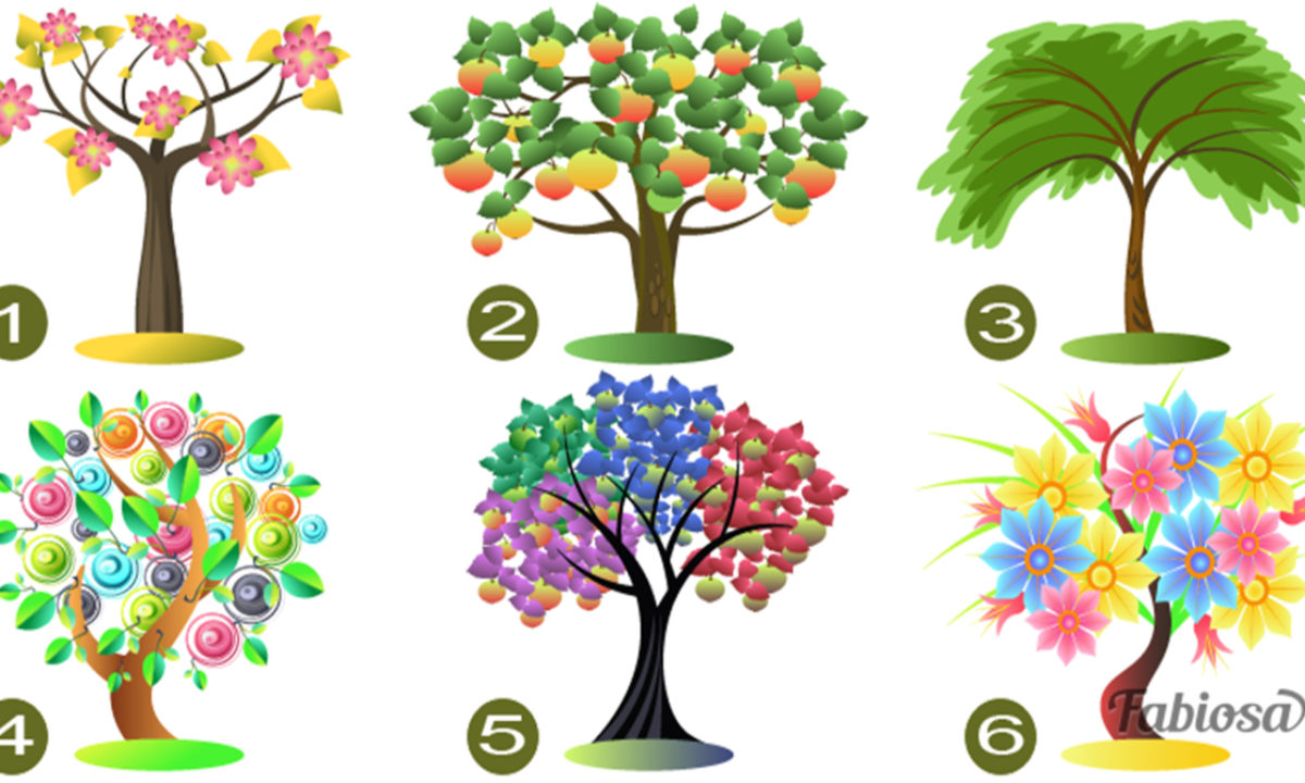 Тест: Выберите дерево и узнайте, какие черты характера в вас преобладают!