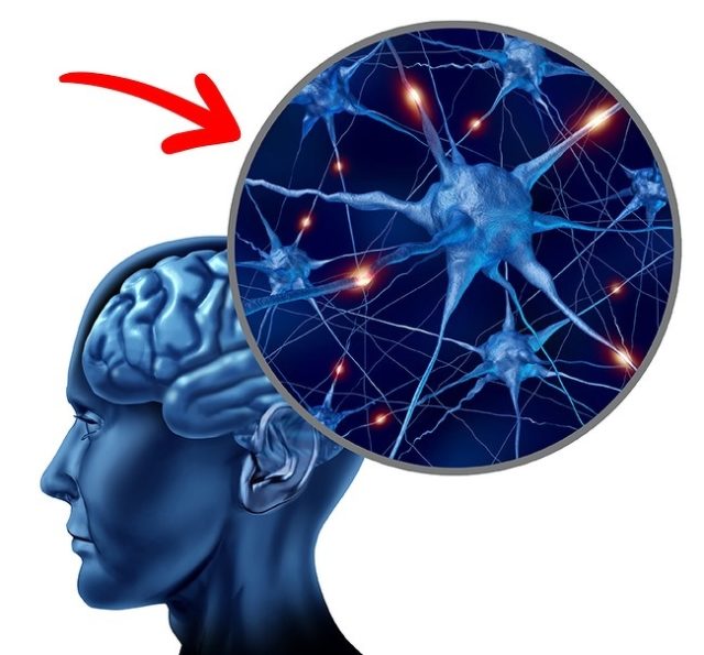 рисунок нейронных связей в головном мозге человека