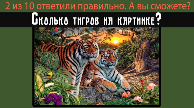 Тест на внимательность: сколько тигров на картинке?