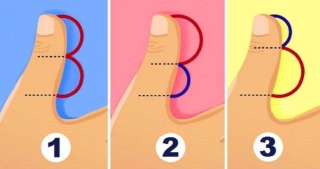 какая длина у вашего большого пальца