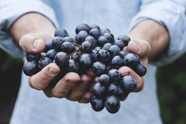 виноград в мужской руке