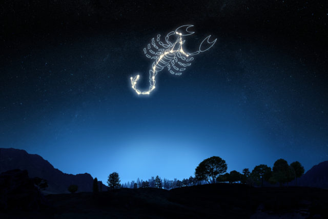 знак зодиака скорпион в ночном небе