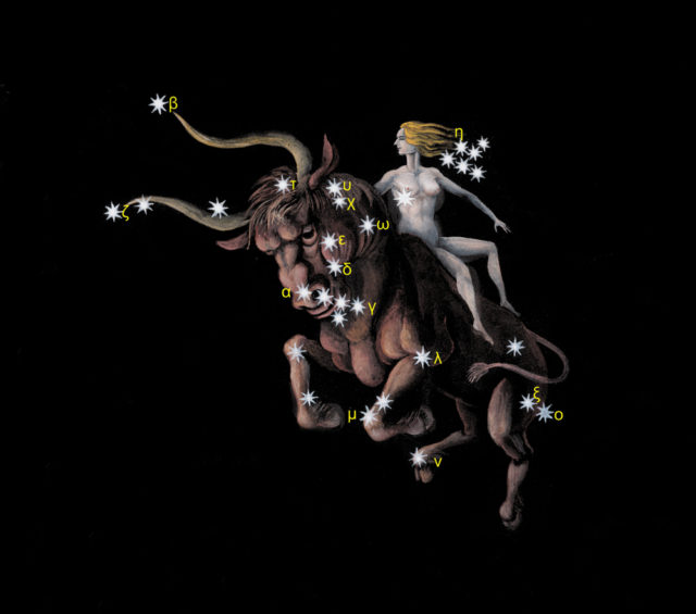 рисунок девушки верхом на быке на звездном небе