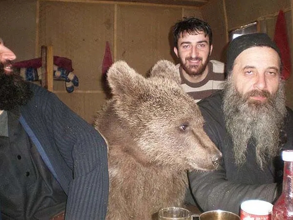 мужчины с медведем за столом