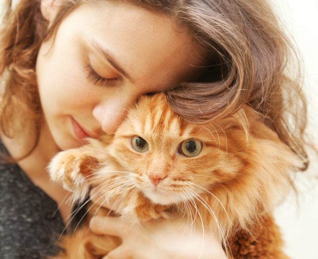 девушка обнимает рыжего кота