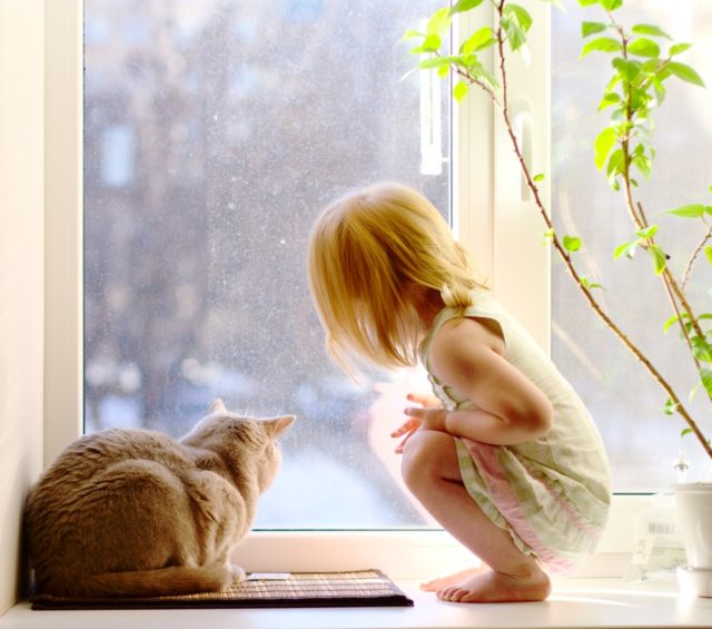 девочка и кошка смотрят в окно