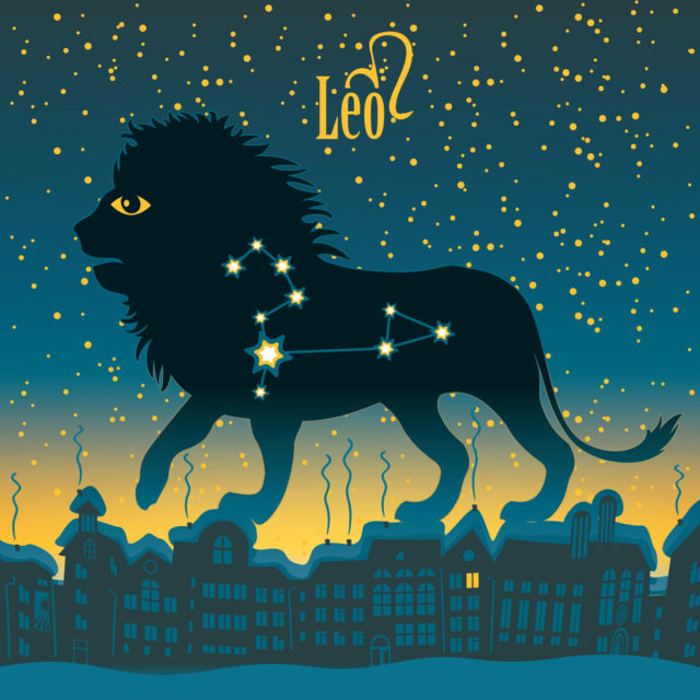 силуэт льва на фоне ночного звездного неба
