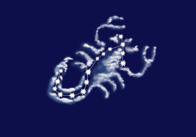 скорпион на фоне ночного неба