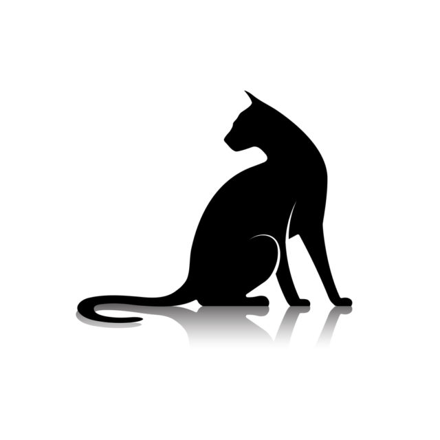 силуэт черного кота