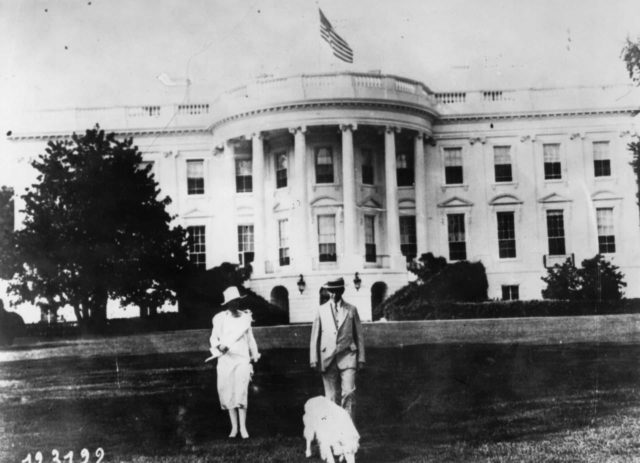 калвин кулидж с женой и собакой на фоне белого дома