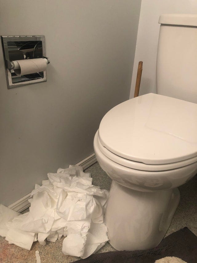 унитаз и туалетная бумага на полу