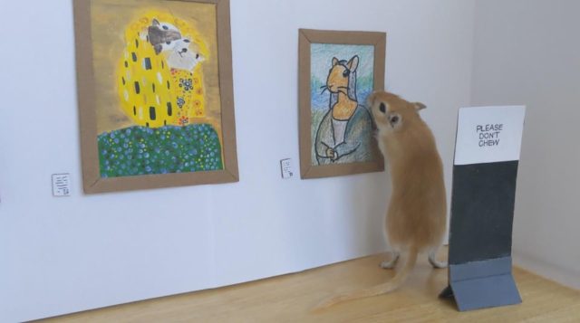 Бесполезные, но забавные шедевры, которые люди сделали на карантине, маясь от скуки