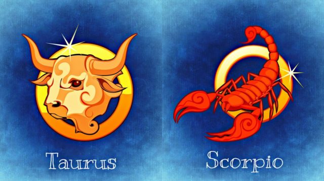 знаки зодиака телец и скорпион