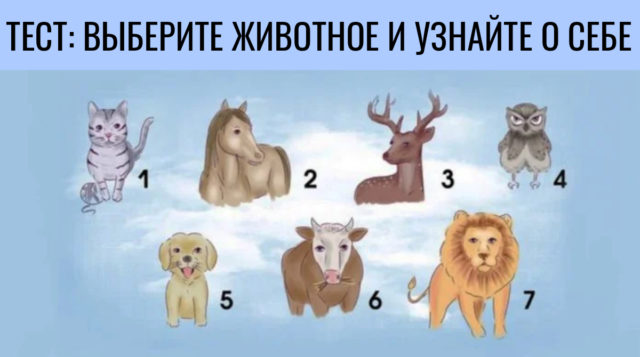 Тест: самая яркая черта вашего характера