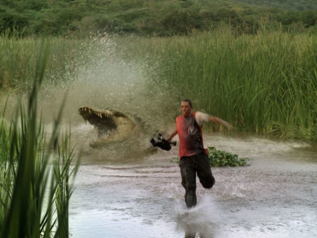 мужчина убегает от крокодила