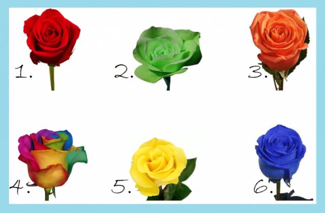 6 роз разного цвета, тест