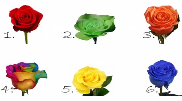 Интуитивный тест: Выберите розу и узнайте, что происходит у вас на душе