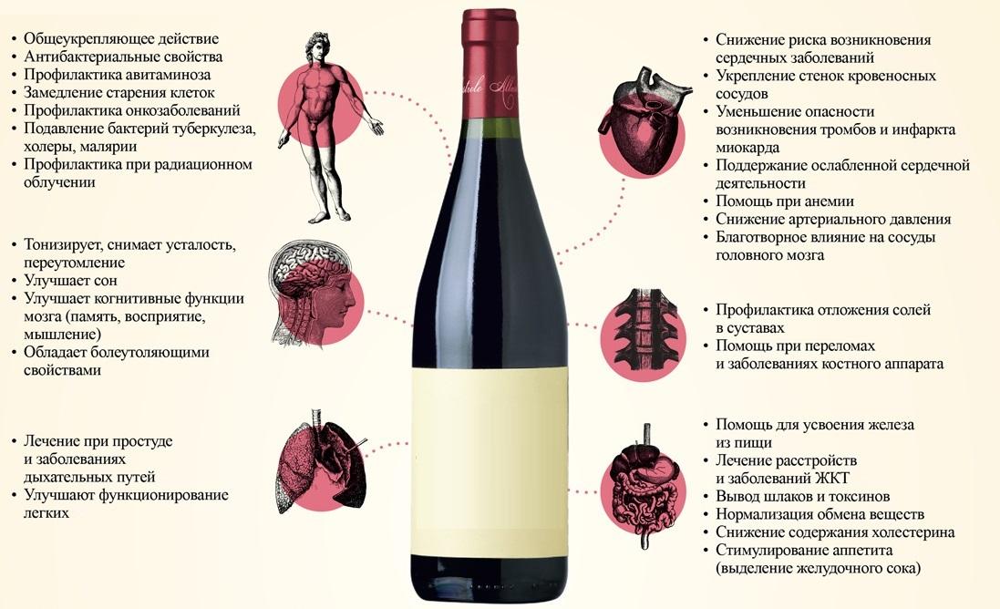 польза красного вина инфографика