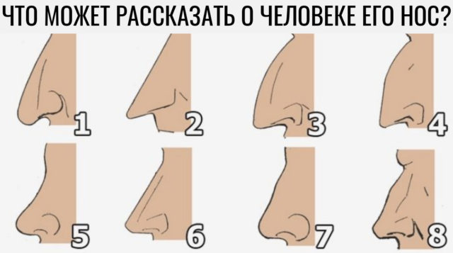 Тест: о чем может рассказать ваша форма носа