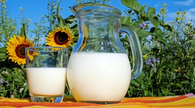 6 продуктов, которые вы всегда употребляли с молоком, не зная, что это вредно