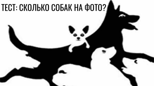 Оптическая головоломка с собаками укажет на ваш психологический возраст