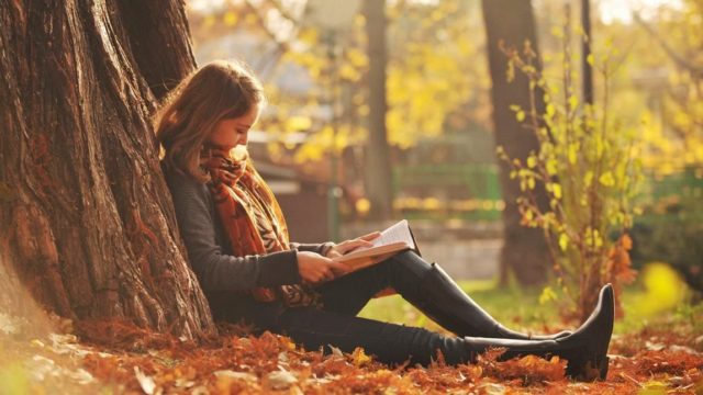 девушка читает книгу, сидя под деревом