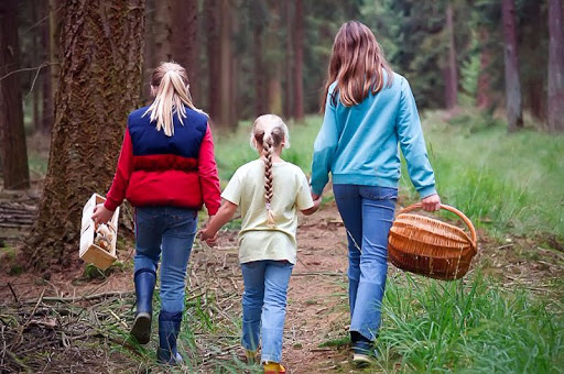мама с двумя дочерьми идут в лес за грибами