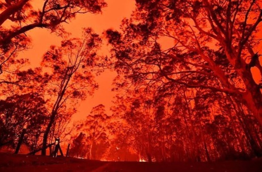 пожары в австралии