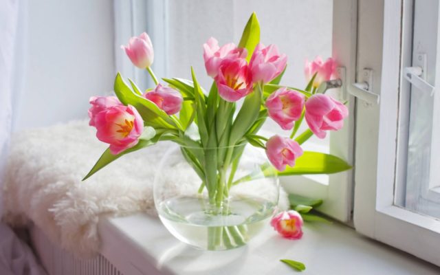 Проделаем жизнь букету из тюльпанов: 5 хитростей, которые работают