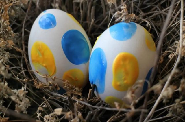 два белых яйца с синей и желтой краской