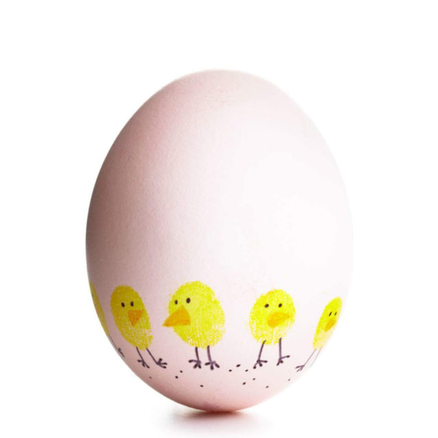 белое яйца с рисунком цыплят