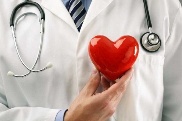 врач держит в руке пластмассовое сердце