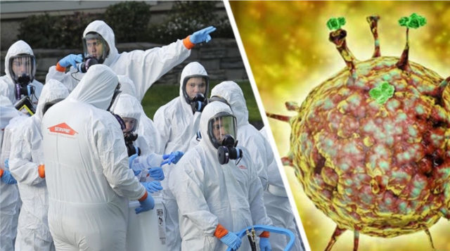 На пороге новой пандемии: что такое вирус Нипах и почему он гораздо опаснее COVID-19?