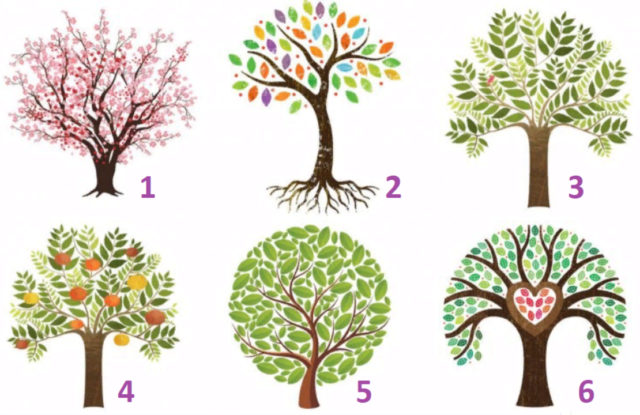 рисунок шести деревьев
