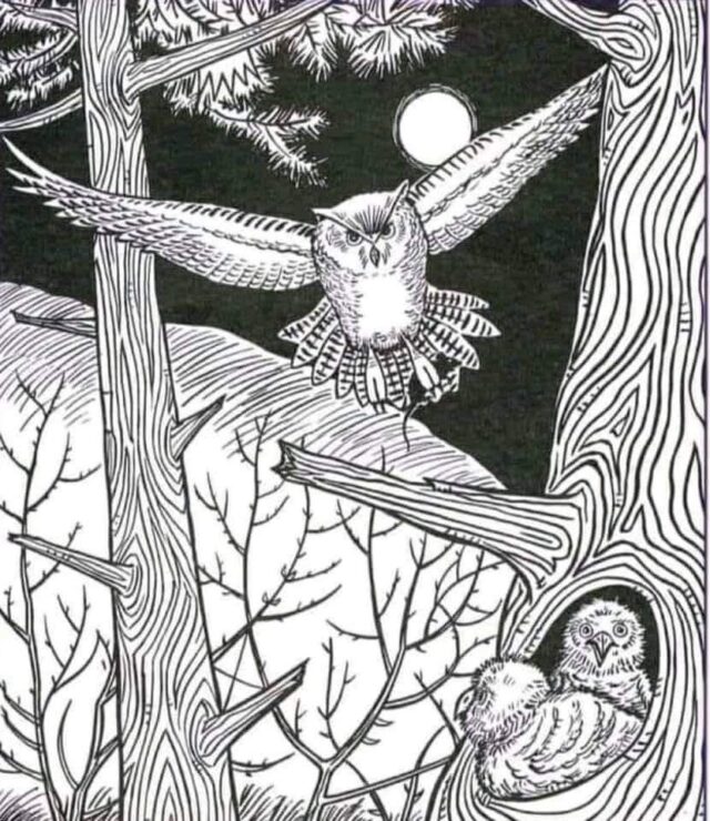 черно-белая картинка с совой и лесом