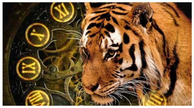 Что ждет каждый знак Зодиака в 2022 году Тигра?