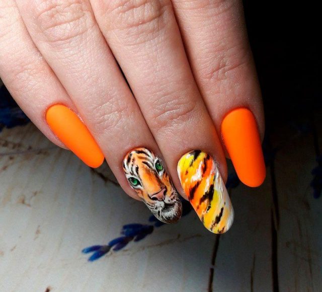 оранжевые ногти с тигром