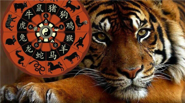 Китайский гороскоп 2022 по году рождения. Чего ждать знакам от Черного Водяного Тигра?
