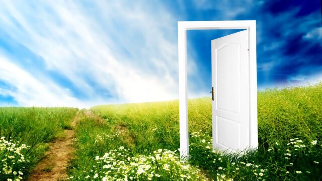белая открытая дверь в цветущем поле