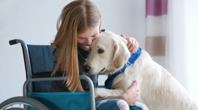 Лечебная сила собаки: что такое собачья терапия?