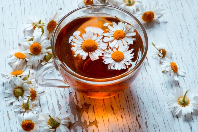 цветы ромашки в чашке с чаем