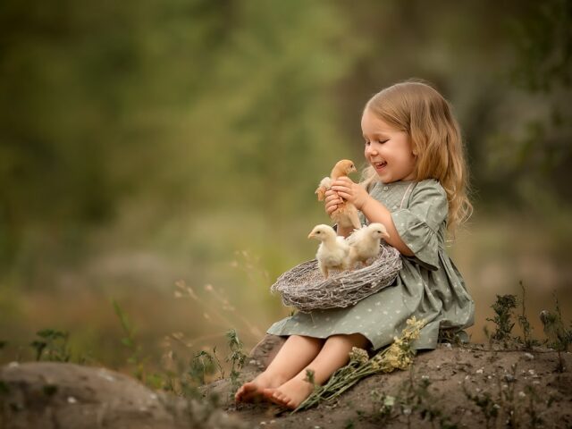 девочка держит в руках цыплят