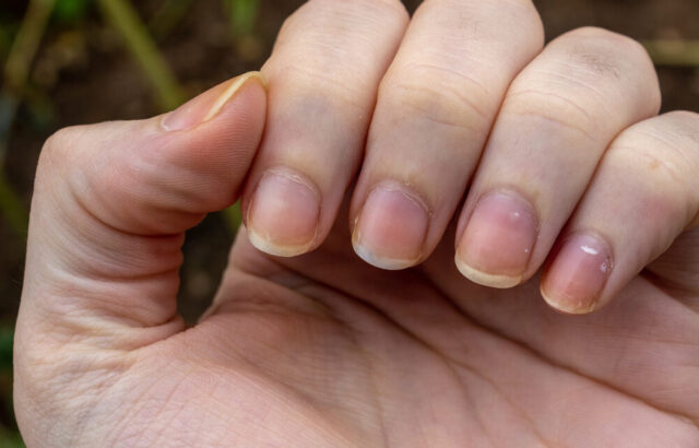 короткие ногти на женской руке